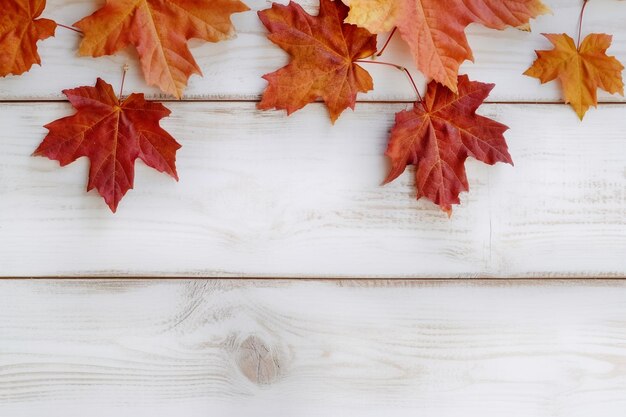 decoración de acción de gracias feliz otoño