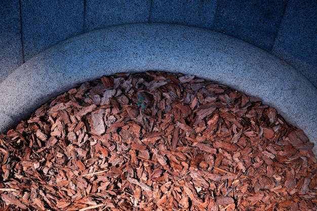 Decoración de astilla de árbol en el fondo del parque de la ciudad