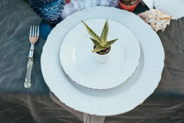 Decoración de boda en la mesa con suculentas.