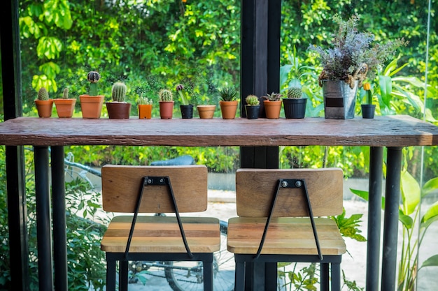 Decoración de cactus en la mesa de madera en la cafetería