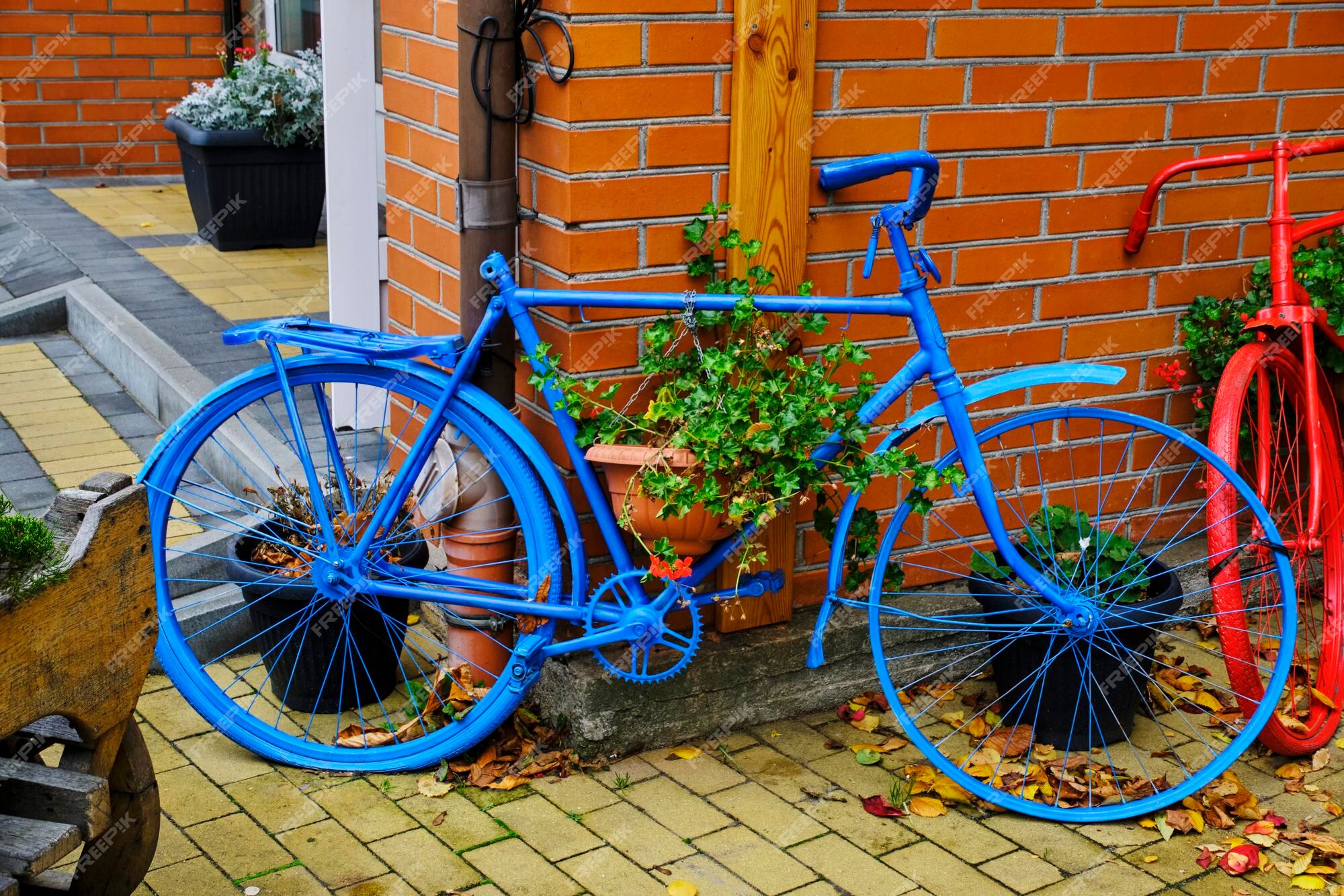 Conciencia Caso Melodramático La decoración de la calle dos bicicletas viejas están pintadas de azul y  rojo. | Foto Premium