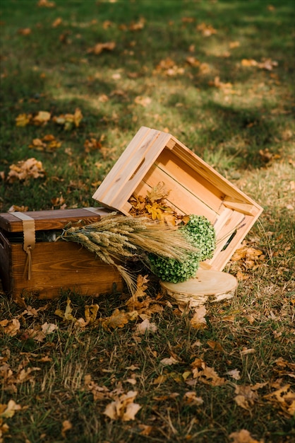 Decoración para ceremonia de boda, otoño, rústica, espiguillas