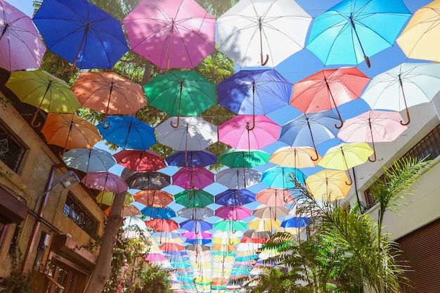 Decoración colorida de la calle de los paraguas en el callejón comercial en Nicosia, Chipre del Norte. Día soleado