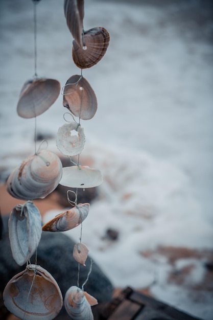 Decoración de conchas junto al mar