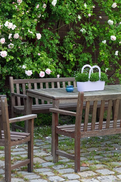 Decoración, delicadas flores en una maceta decorativa sobre una mesa en el jardín