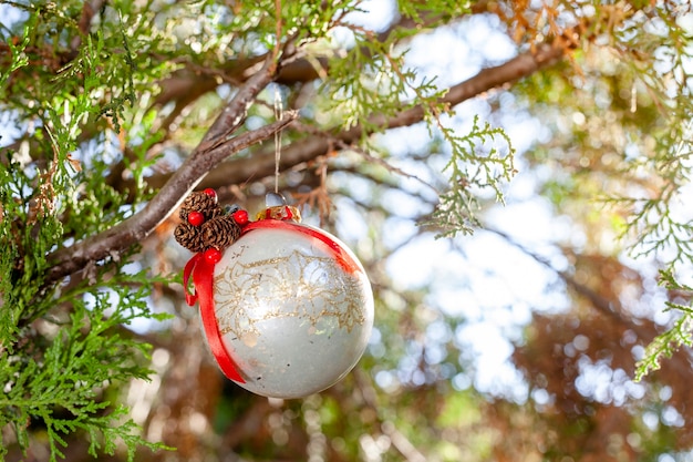 decoración de esfera de navidad en el árbol