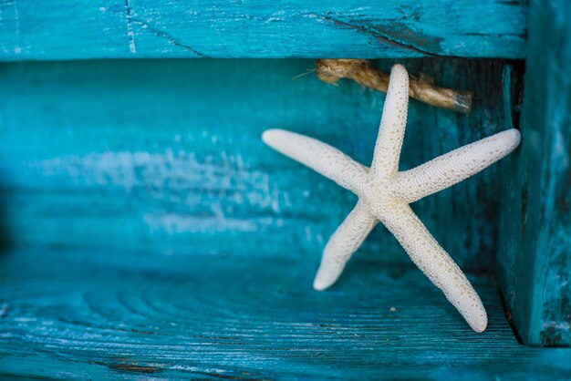 Foto decoración de estrellas de mar sobre un fondo de madera