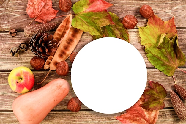 Decoración festiva de otoño de calabazas, bayas y hojas sobre un fondo de madera blanca