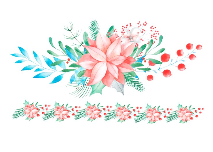 Foto decoración floral navideña. flores y plantas tradicionales pintadas a mano: acebo, muérdago, bayas y rama de abeto aislado sobre fondo blanco.