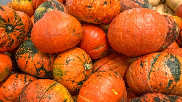 Foto decoración de halloween con varias calabazas de fondo de acción de gracias