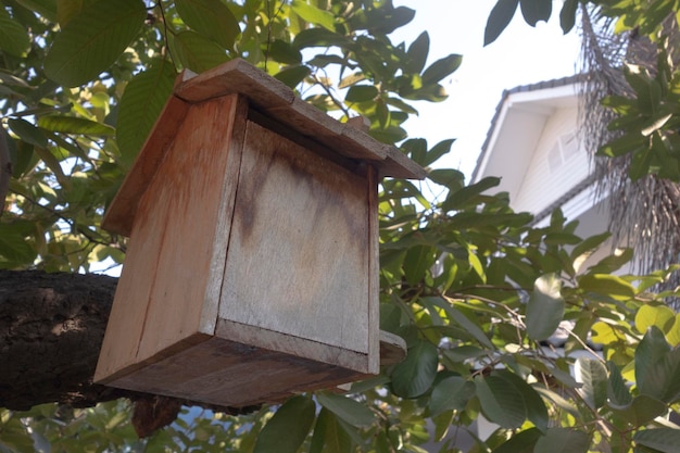 Foto decoración del hogar con casita para pájaros diseño de patio trasero con casita para pájaros en el árbol