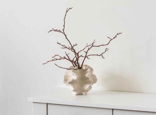 Decoración del hogar de estilo minimalismo ramas secas en un jarrón de cerámica creativa en una cómoda blanca