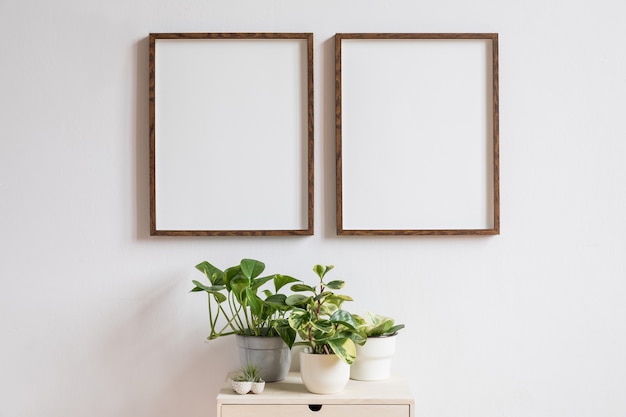 Decoración del hogar minimalista de interior con dos marcos de fotos de madera marrón en el estante blanco con libros, hermosa planta en maceta elegante y accesorios para el hogar. Pared blanca.