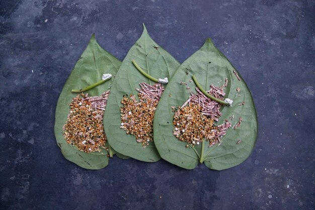 Decoración Hoja de betel verde en el suelo de hormigón con masala dulce de nuez de betel y lima