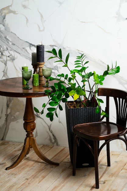 Foto decoración interior con planta en maceta sobre mesa de madera