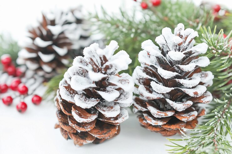 Decoración de invierno con conos de pino con polvo de nieve y ramas de hoja perenne IA generativa