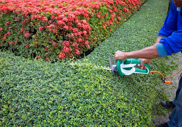 Decoración de jardinería vertical en el parque.