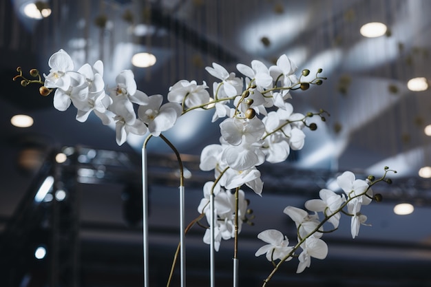 Decoración de mesa de boda romántica con grandes ramos de flores exuberantes que incluyen rosas blancas ranunc ...