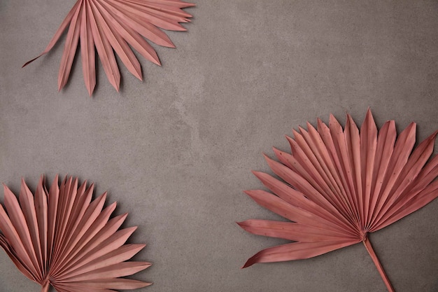 Decoración de moda de estilo boho de hoja de palmera tropical rosa seca sobre un fondo de hormigón