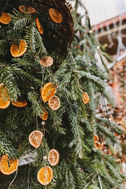 Decoración natural de bricolaje con rodaja de naranja en rama de pino de Navidad