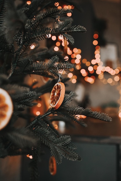 Decoración navideña naranja seca en el árbol