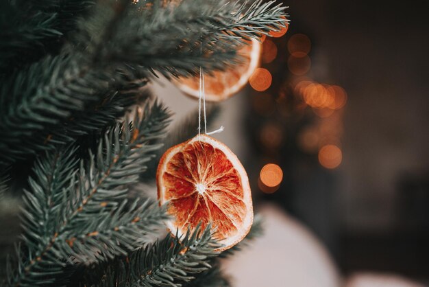 Decoración navideña naranja seca en el árbol