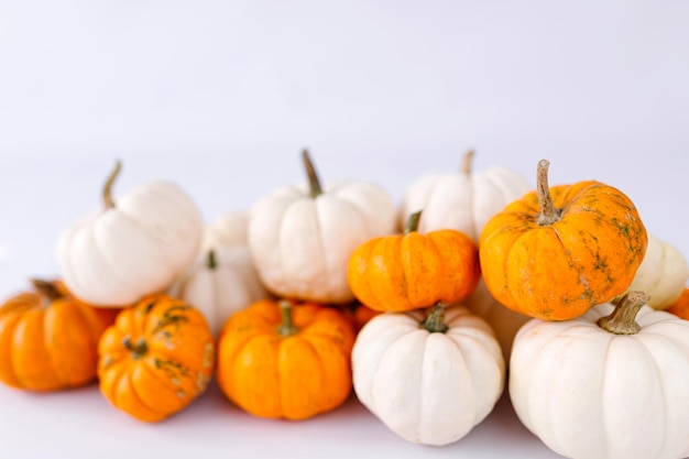 Decoración de otoño en blanco con espacio de copia. otoño, halloween, acción de gracias