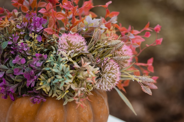 decoración de otoño en el bosque