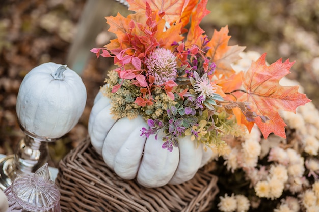 decoración de otoño en el bosque