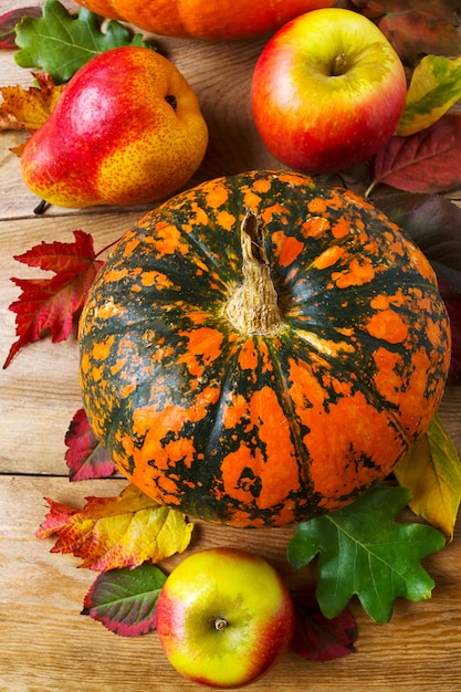 Decoración de otoño con calabaza, manzanas, peras, hojas rojas.