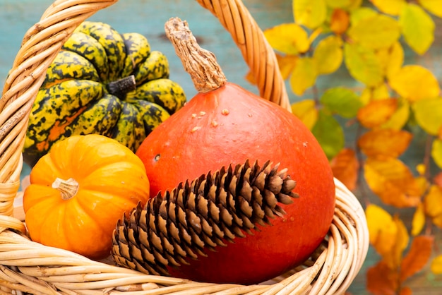 Decoración de otoño con calabaza