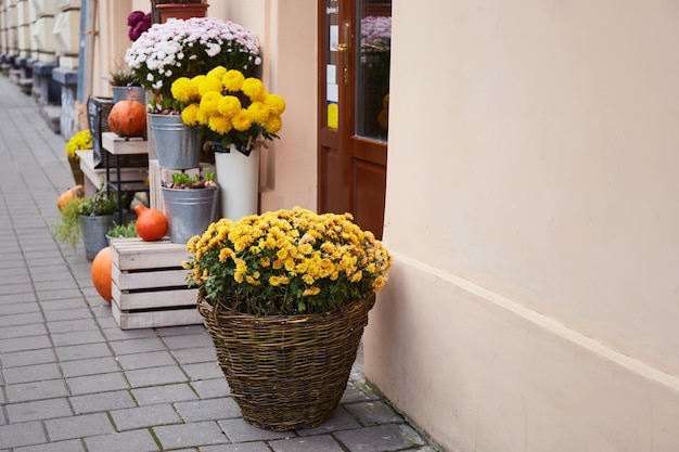 Decoración de otoño con calabazas y flores en una calle del casco antiguo de Lviv, Ucrania