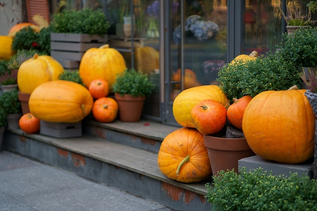 Decoración de otoño con calabazas y flores fuera de la floristería halloween y día de acción de gracias