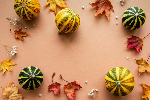 Decoración de otoño con calabazas y hojas de arce secas sobre un fondo marrón