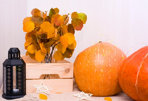 decoración de otoño con calabazas