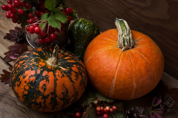 Decoración de otoño con frutos rojos y dos calabazas