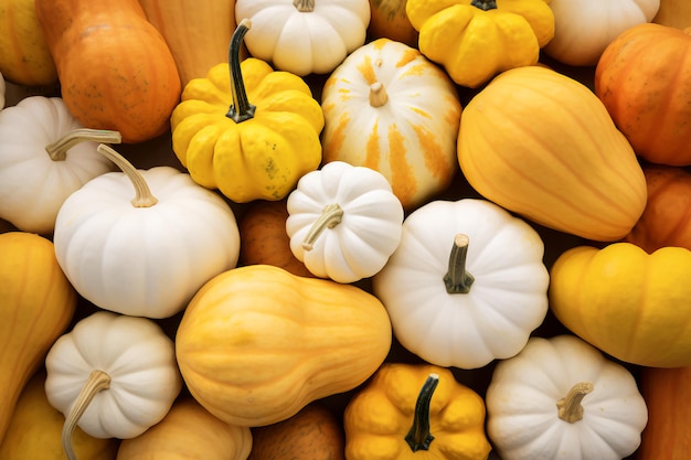 Decoración de otoño para el hogar en una paleta de naranja pastel y amarillo