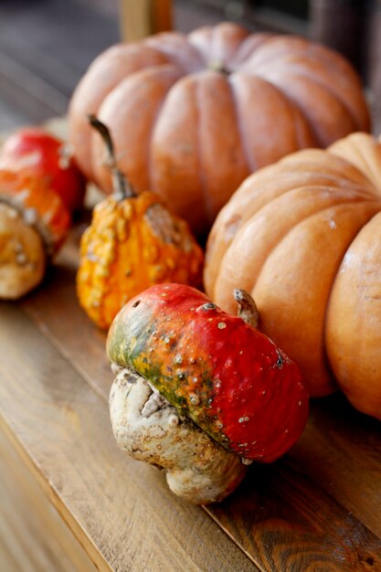 Decoración de otoño otoño con calabazas.