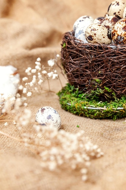 Decoración de Pascua con huevo en nido y algodón sobre fondo de mármol blanco