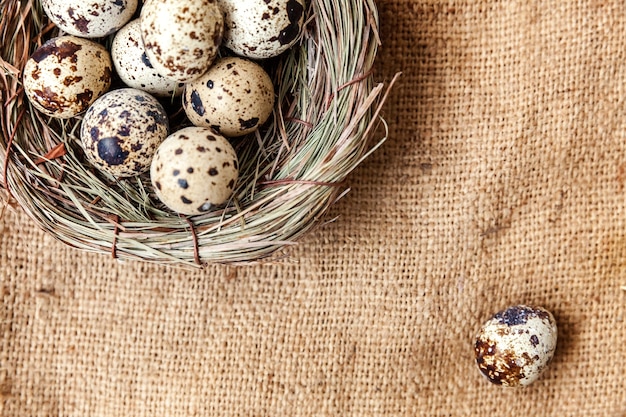 Decoración de Pascua con huevo en nido sobre fondo de lienzo de lino rústico marrón