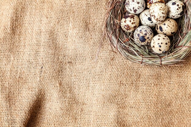 Decoración de Pascua con huevo en nido sobre fondo de mármol blanco