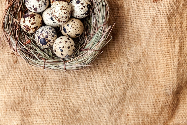Decoración de Pascua con huevo en nido sobre mesa de lienzo de lino rústico marrón