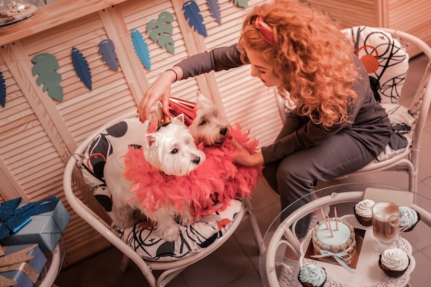 Decoración de perros. Vista superior de la mujer pelirroja rizada con cabello cobrizo decorando sus perros lindos