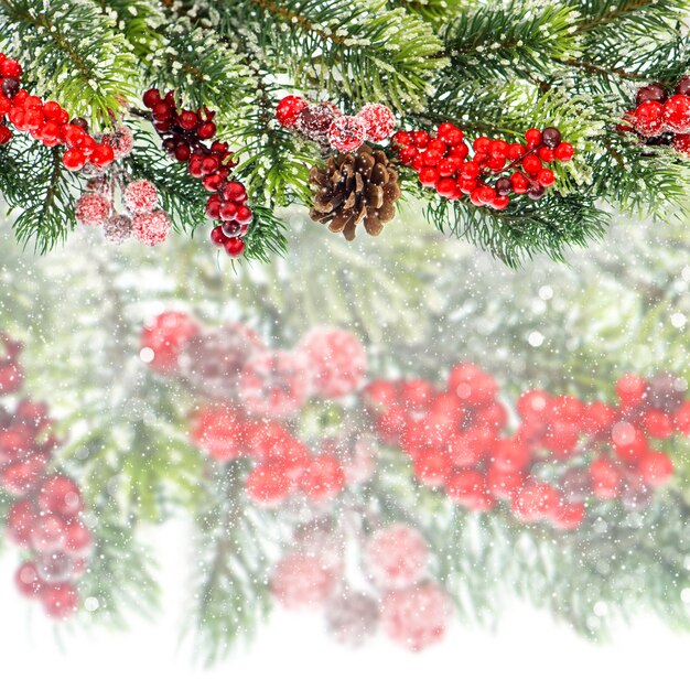 Decoración de rama de árbol de Navidad con frutos rojos sobre fondo borroso