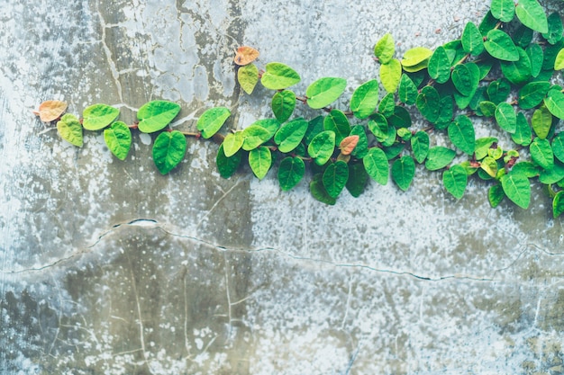 Foto decoración salón estilo interior verde eco ambiental con árbol planta nad