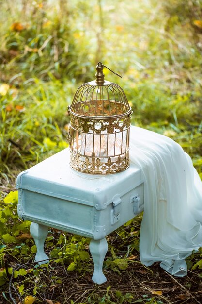 La decoración para la sesión de fotos de la boda maleta blanca sobre patas jaula de metal y un trozo de gasa