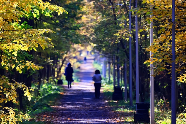 decoración con vista al parque de otoño, papel tapiz temporada amarilla de otoño