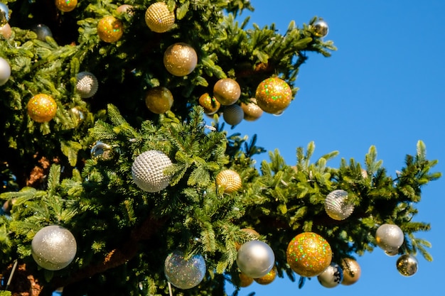 Decoraciones de año nuevo dorado y blanco y guirnaldas en las ramas del árbol de Navidad al aire libre