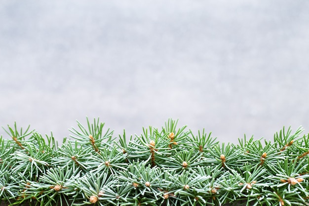 Decoraciones para árboles de Navidad