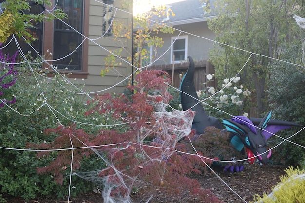 Decoraciones de Halloween en las calles